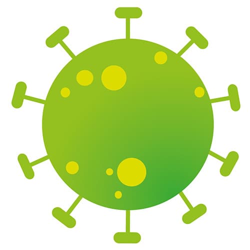 virus